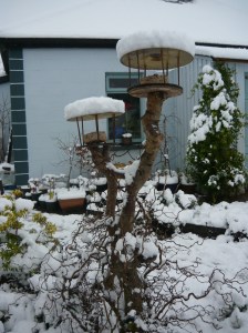 Bird table in snow.