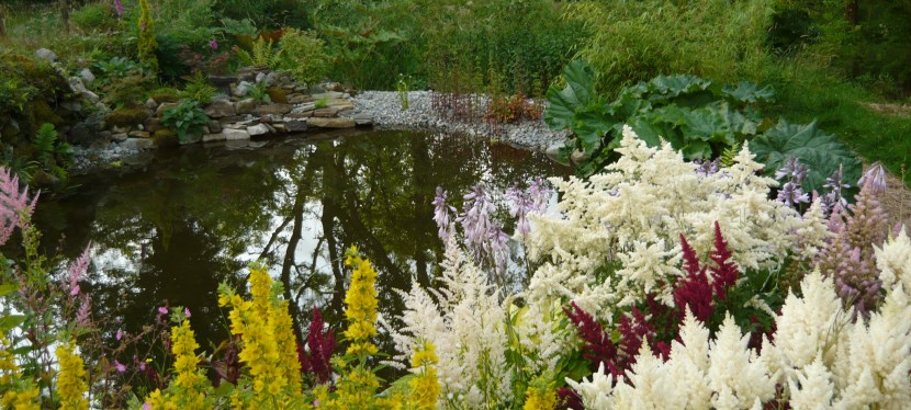 Building a wild life&nbsp;pond.