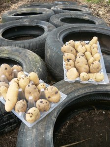 Potatoes and tyres