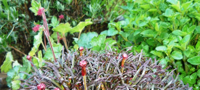 Going around in&nbsp;circles