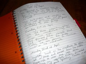 staying organized diary