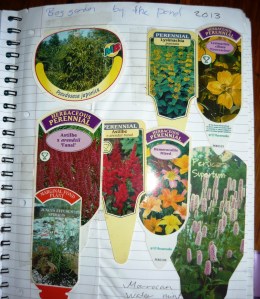 staying organized labels