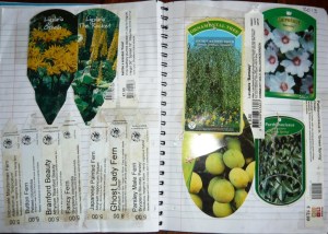 staying organized 064