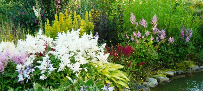 Once in a blue&nbsp;moon.