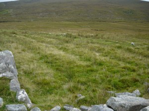 Achill island lazy bed