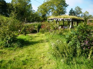 september garden 014