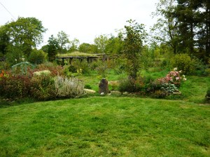 wildlife september 008