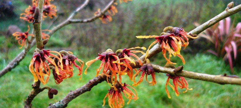 Looking forward and&nbsp;back.