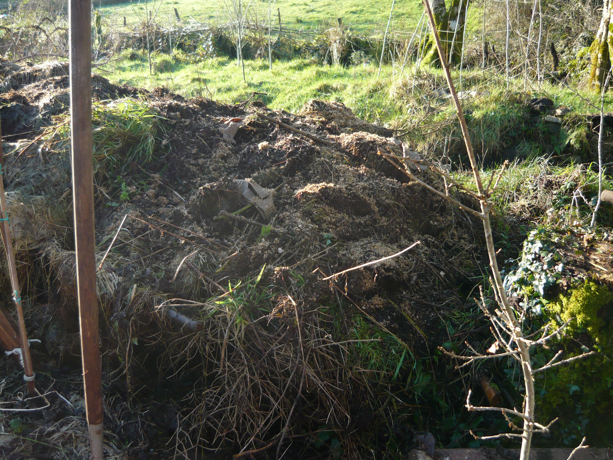 mushroom conservatory 014