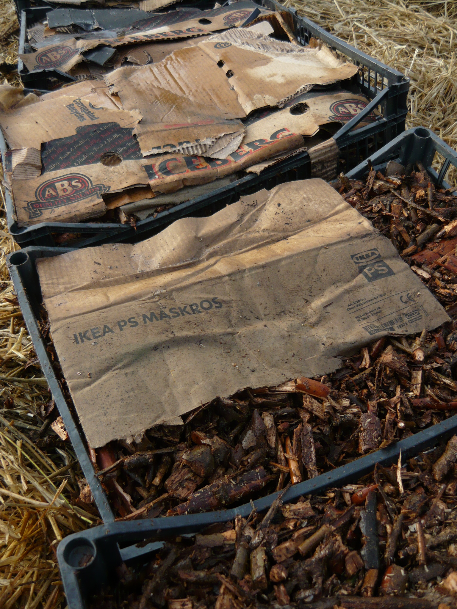 mushroom conservatory 053