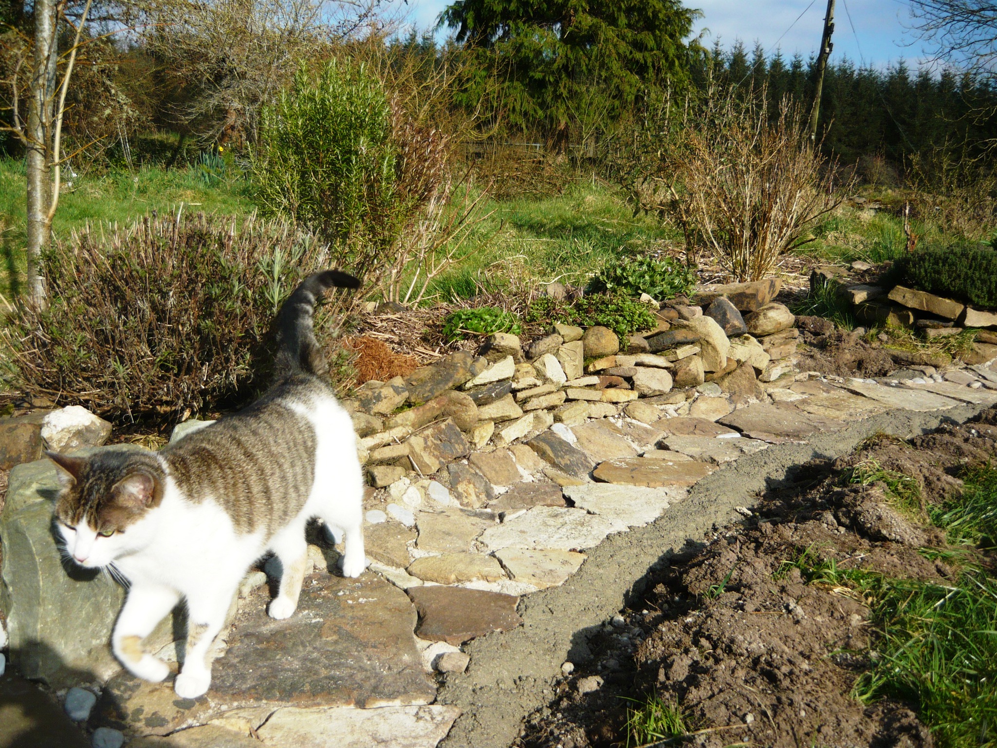 Stonecircle Sample Stone circle revisited. – thegreenerdream