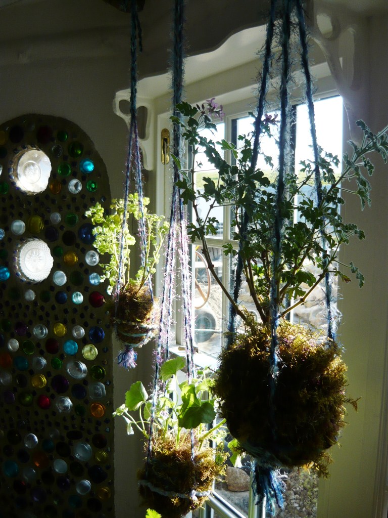 Kokedama 2 009