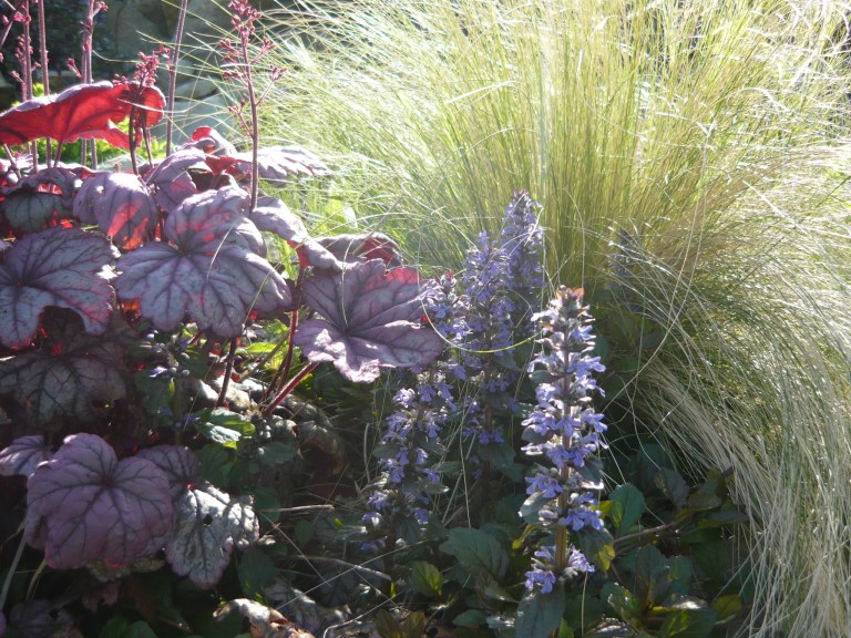 the three sisters 053