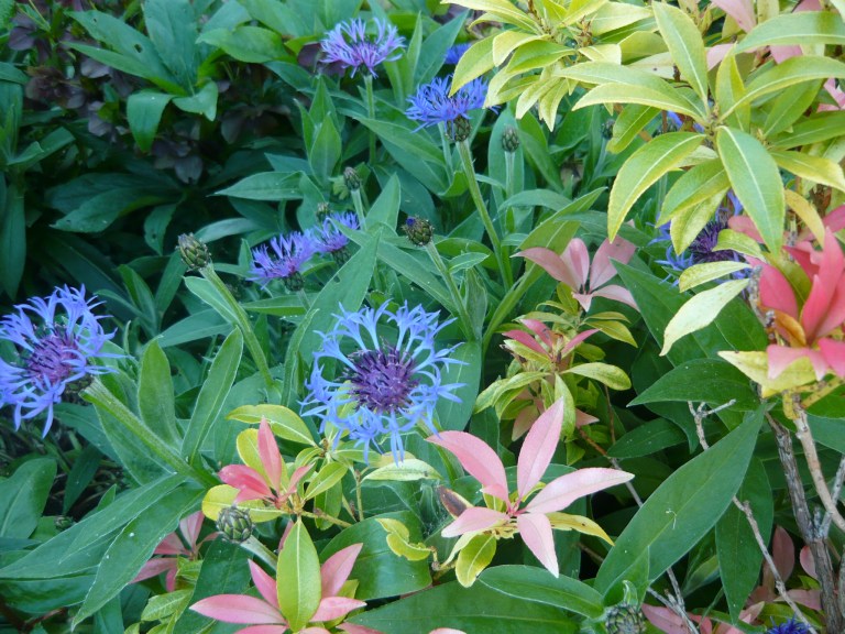 the three sisters 069