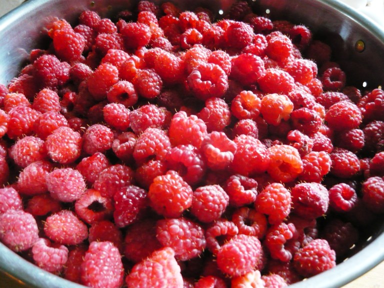 raspberries 033
