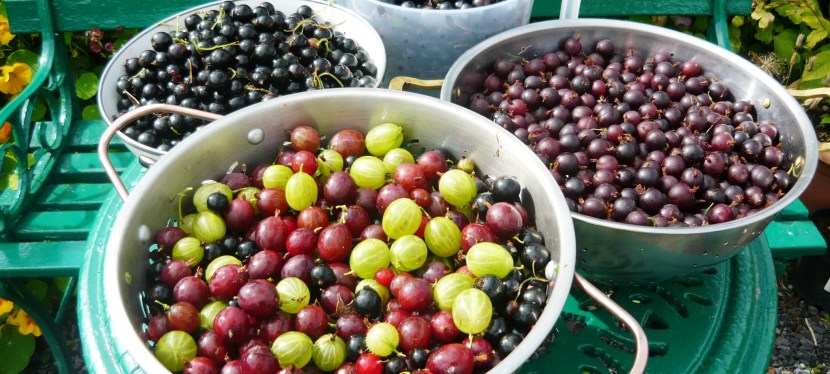 A berry nice&nbsp;month.