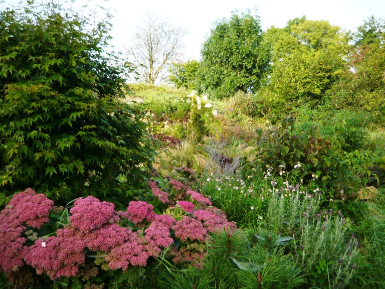 september-morning-041