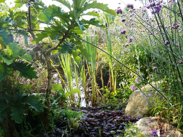 september-morning-050