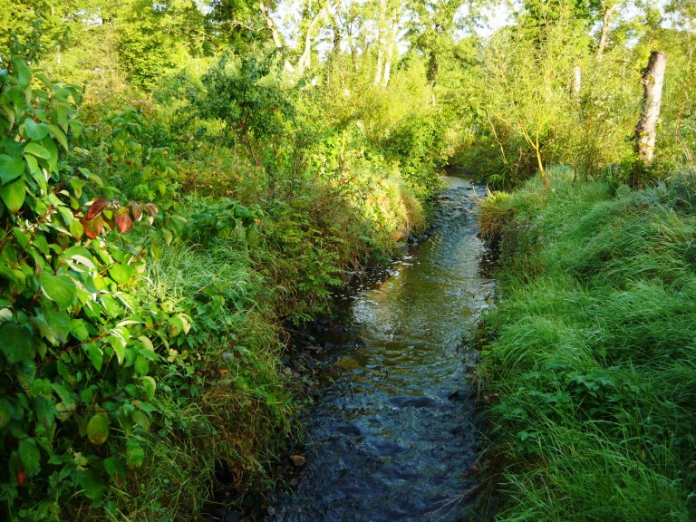 september-morning-069