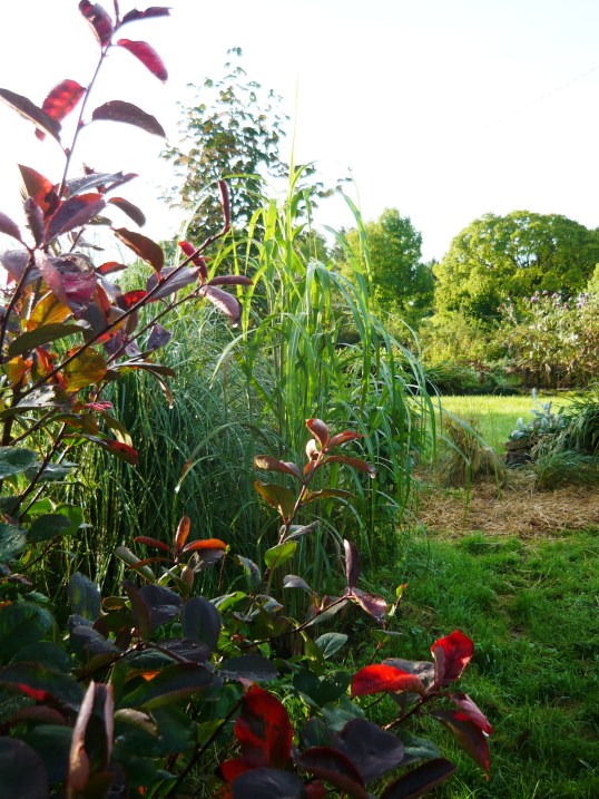 september-morning-072