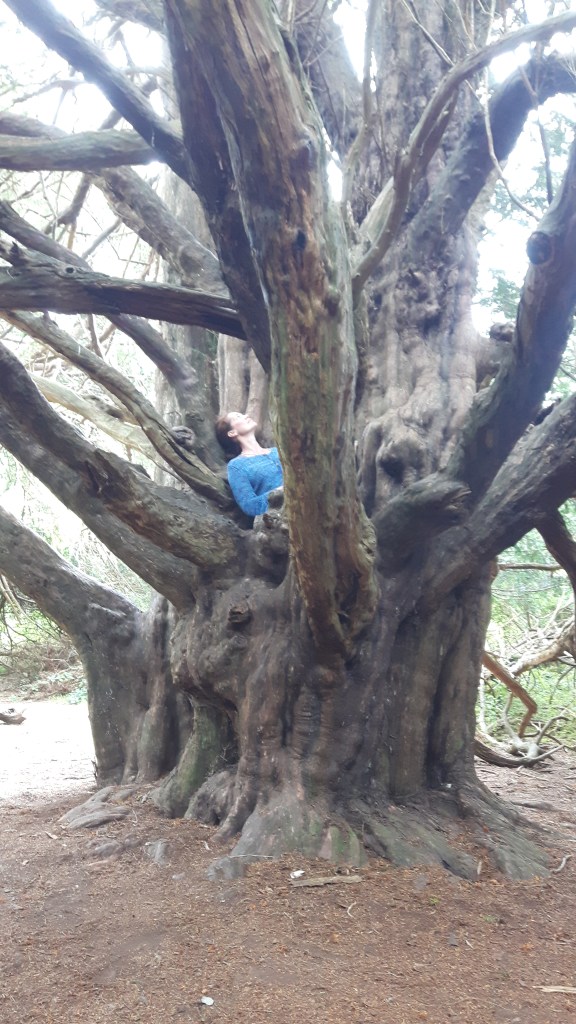 wales-and-england-neo-076