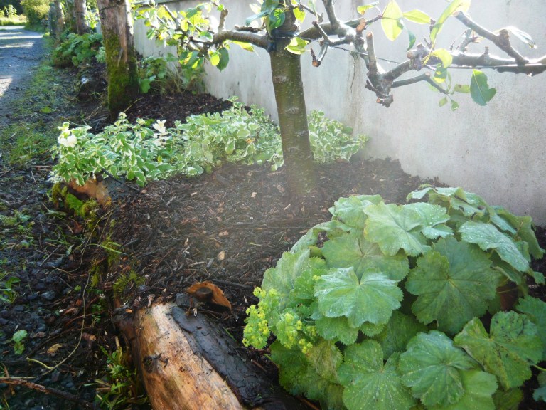 september-garden-088