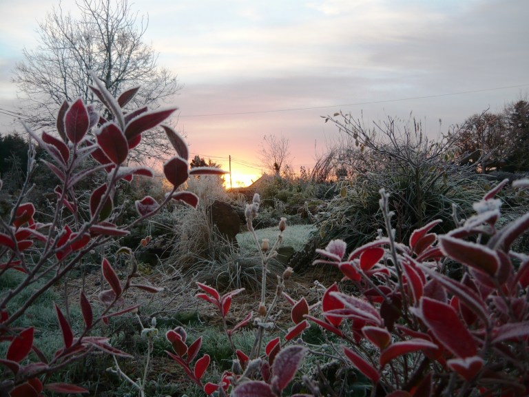 frosty-morning-065