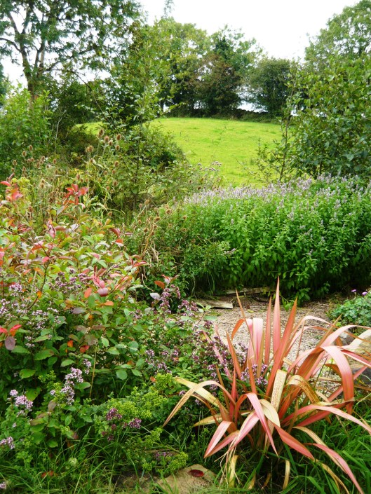 wildlife-september-017