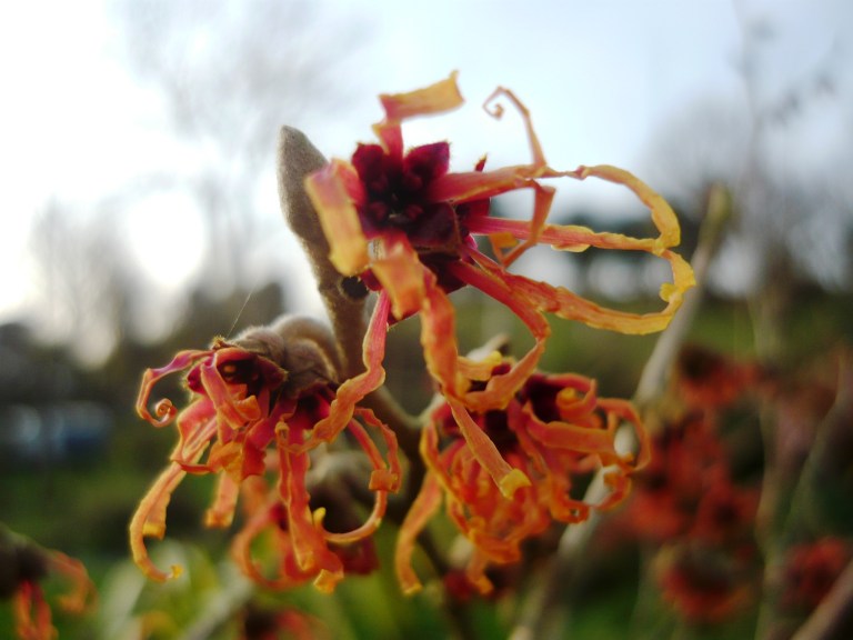 december-2016-chalk-049