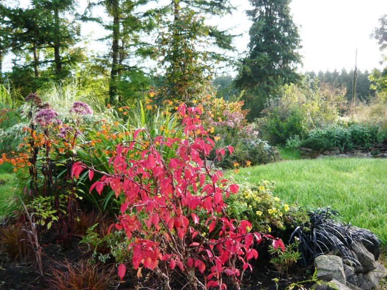 september morning 017