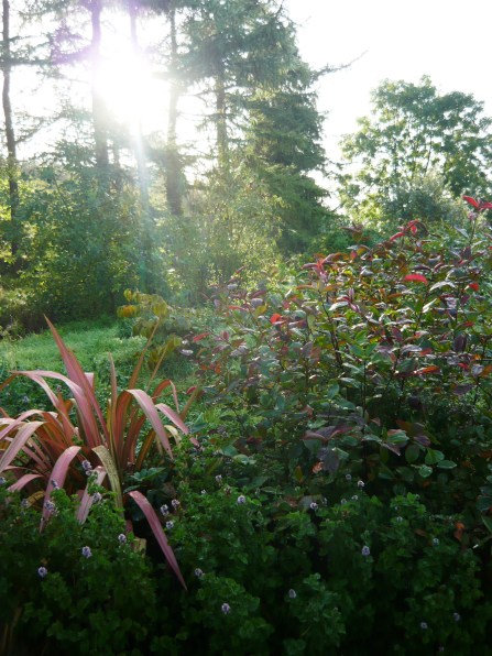 september morning 067