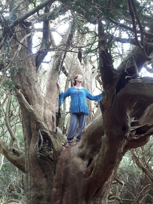 wales-and-england-neo-136