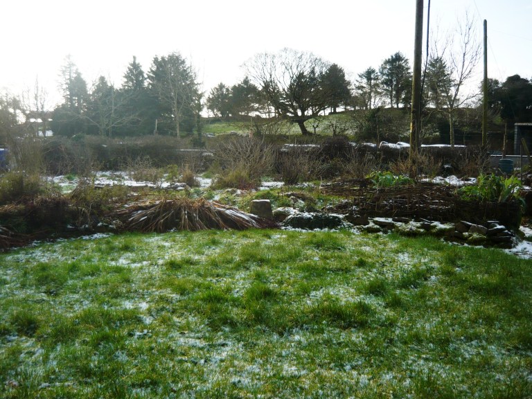 january-conservatory-036