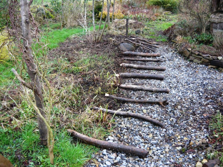 willow-and-frogs-013