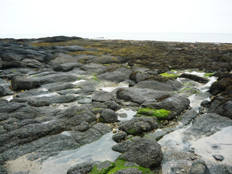 strand-033