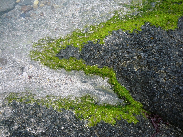 strand-035