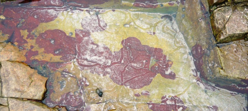 Between worlds where nature&nbsp;beguiles.