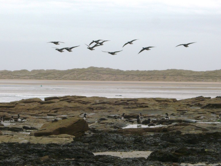 strand-107