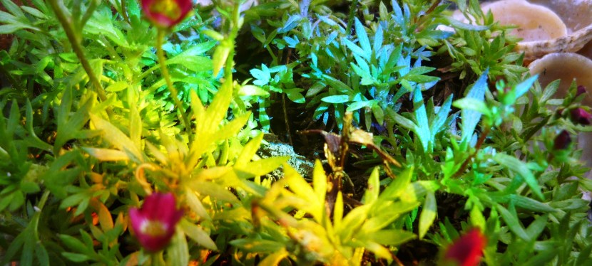 Anticipation in March.