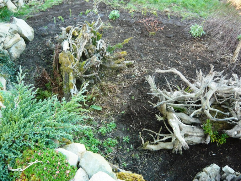 stumpery and logo 034