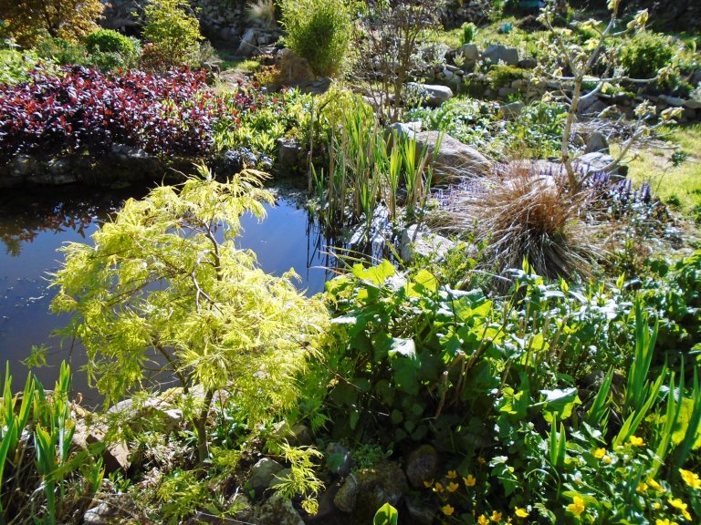 april new camera 015