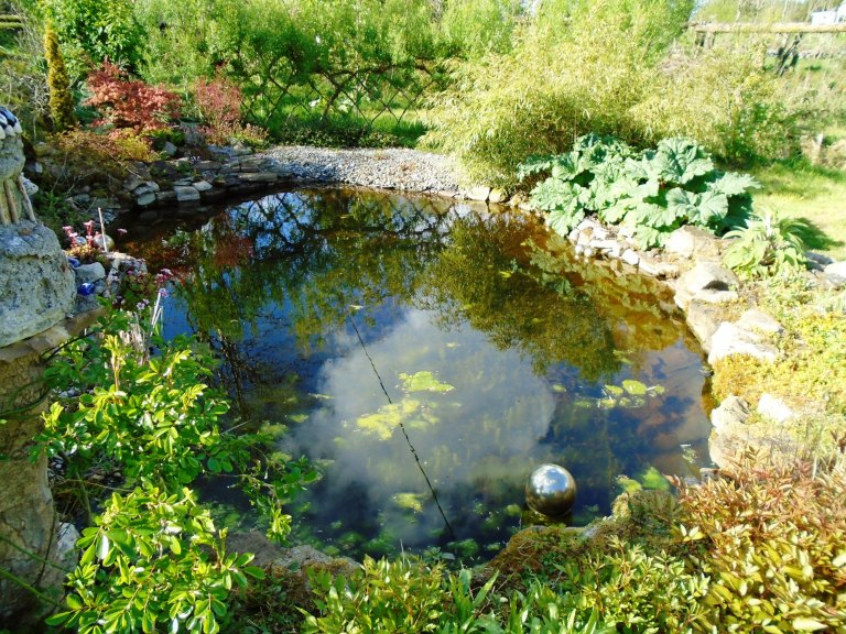 april new camera 036