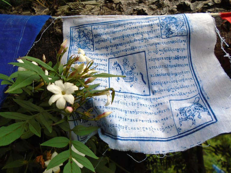 amnesty open day 086