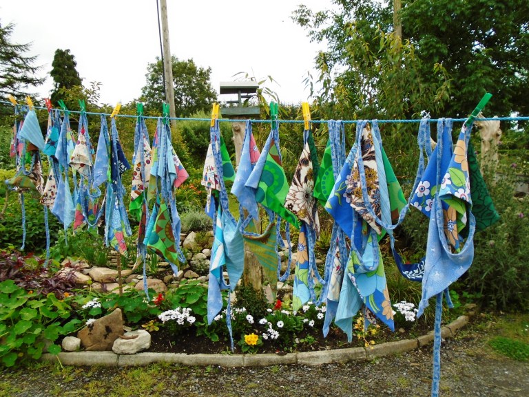 amnesty open day 103