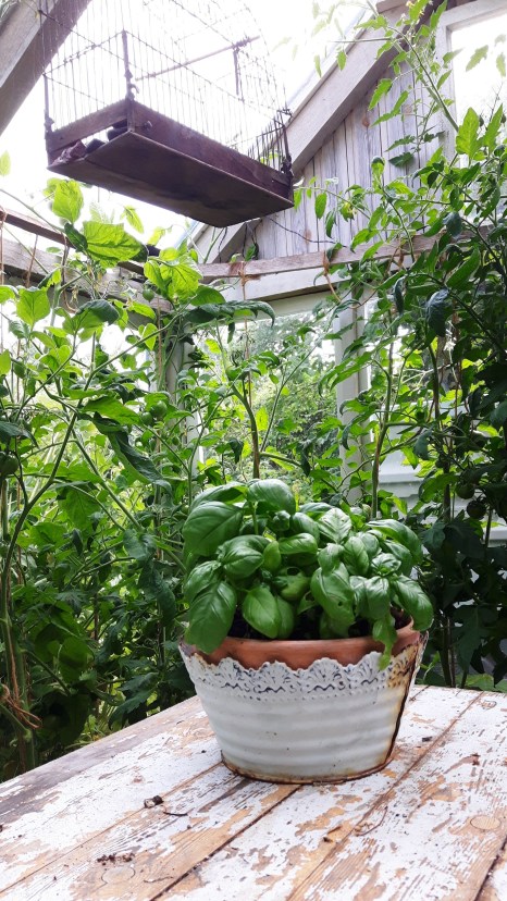 mobil summer 2017 081