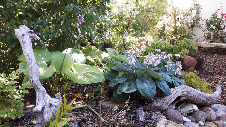 mobil summer 2017 164