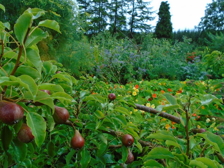 sweden and garden 216