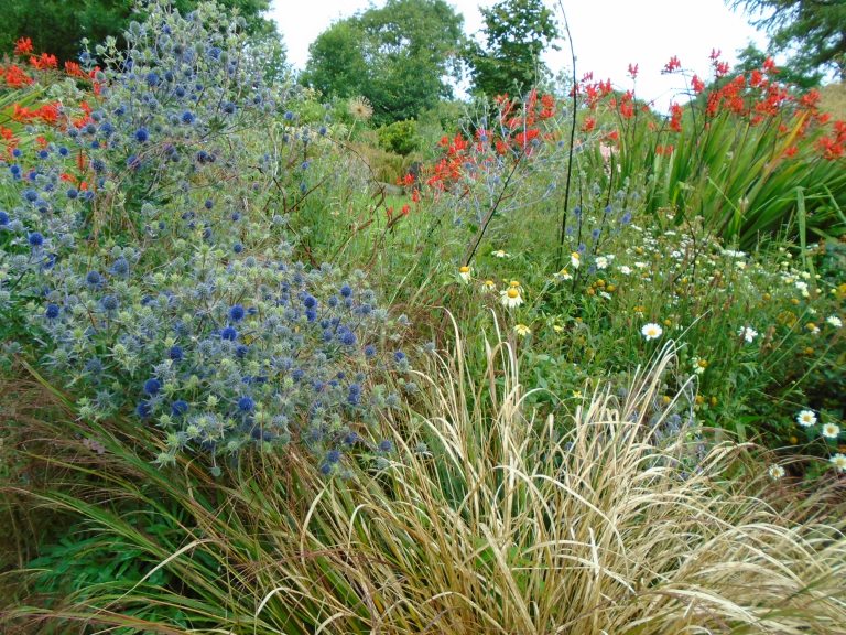 sweden and garden 227