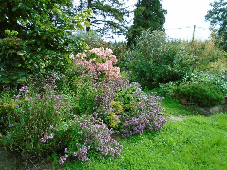 sweden and garden 234