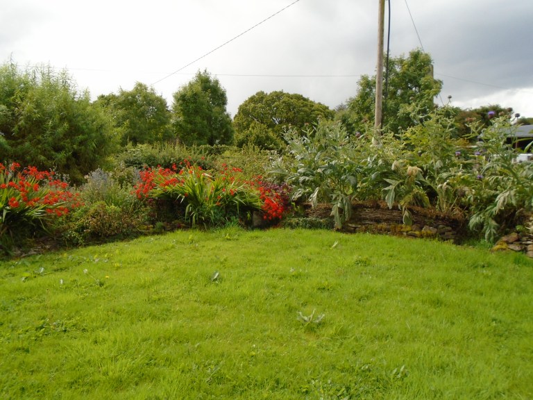 sweden and garden 235